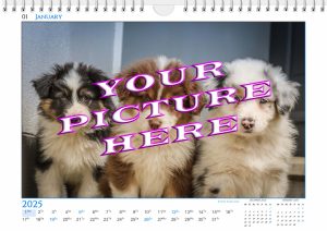 Personalised Wall Calendar - DESIGN 6b